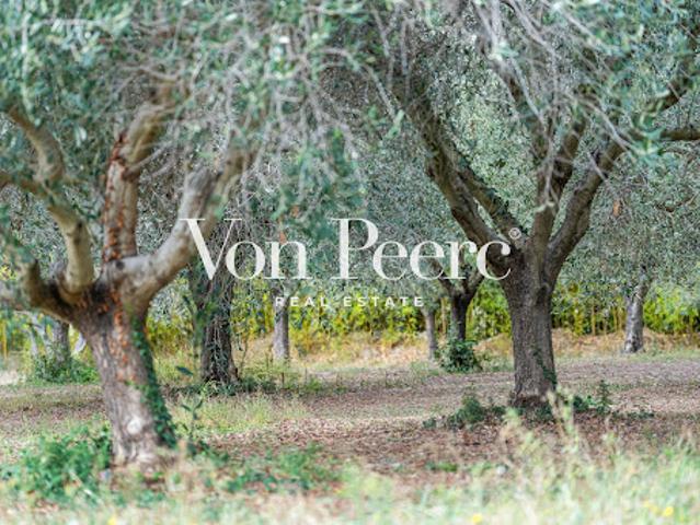 Vente Maison 8 pièces 230 m2 Maussane les Alpilles