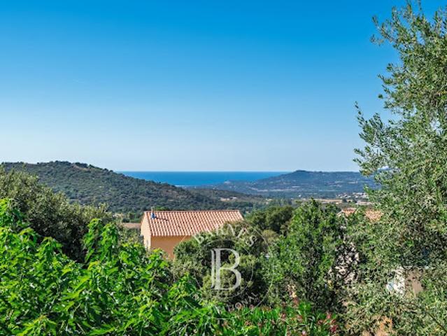 Vente Maison 8 pièces 231 m2 Calvi