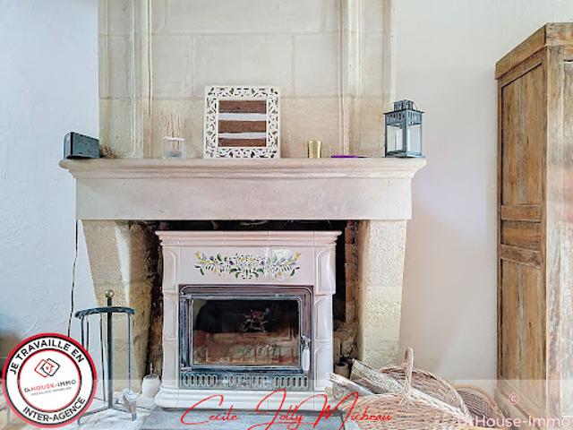 Vente Maison 8 pièces 245 m2 Saint Savin