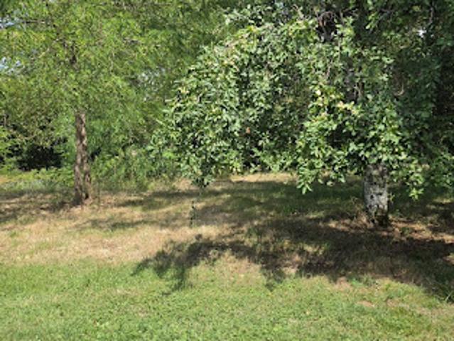Vente Maison 8 pièces 240 m2 Montrem