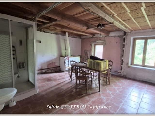 Vente Maison 8 pièces 240 m2 Celles sur Plaine