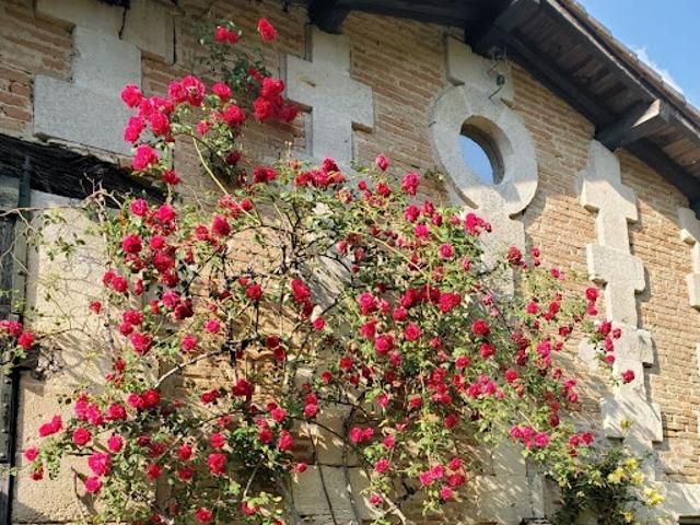 Vente Maison 8 pièces 240 m2 Tizac de Lapouyade