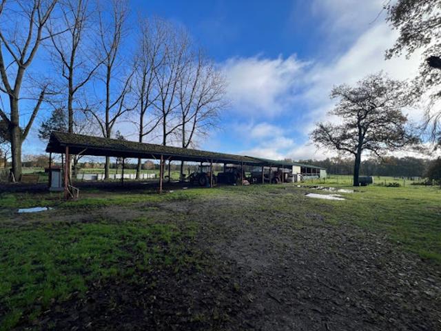 Vente Maison 8 pièces 250 m2 Bourriot Bergonce