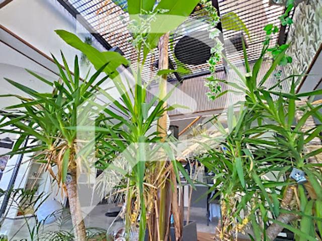 Vente Maison 8 pièces 250 m2 Colomiers