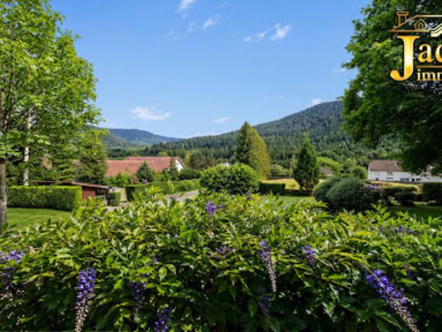 Vente Maison 8 pièces 250 m2 Saint die des vosges