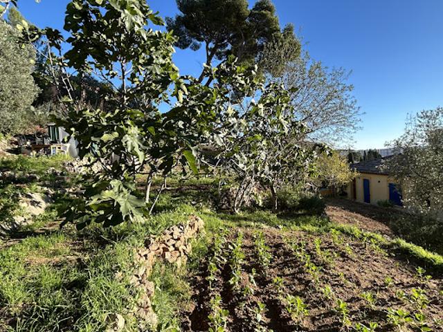 Vente Maison 8 pièces 260 m2 Toulon