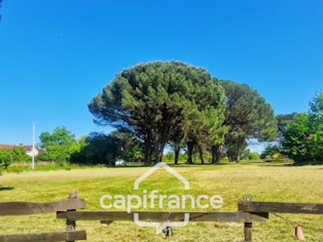 Vente Maison 8 pièces 272 m2 Sainte Christie d'Armagnac