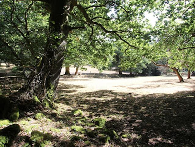Vente Maison 8 pièces 289 m2 Concarneau
