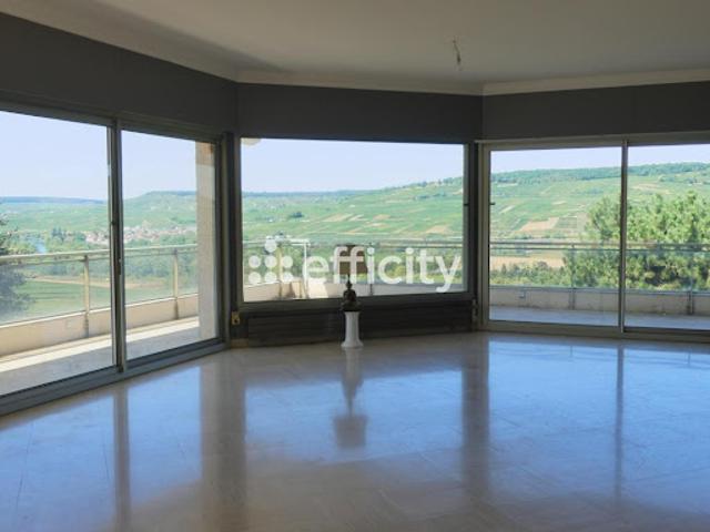 Vente Maison 8 pièces 295 m2 Oeuilly