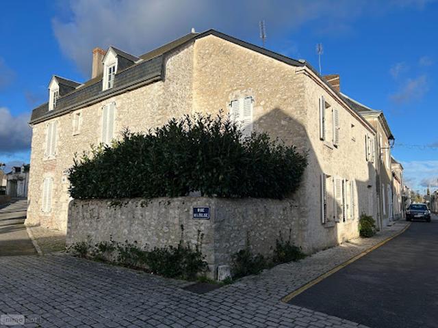 Vente Maison 8 pièces 290 m2 Avaray
