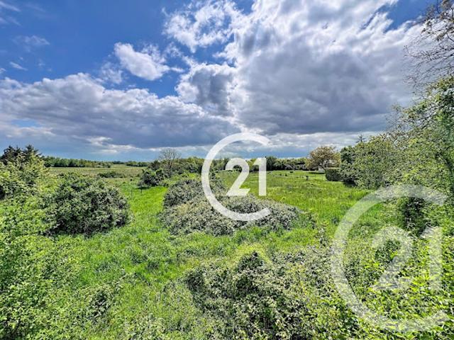 Vente Maison 8 pièces 290 m2 Louzac Saint André