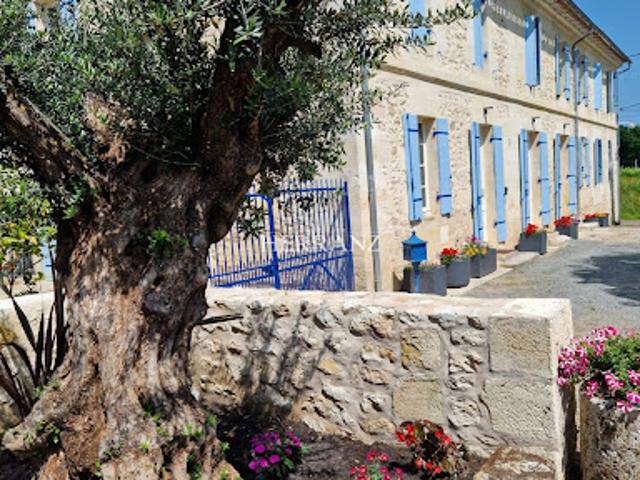 Vente Maison 8 pièces 327 m2 Blésignac