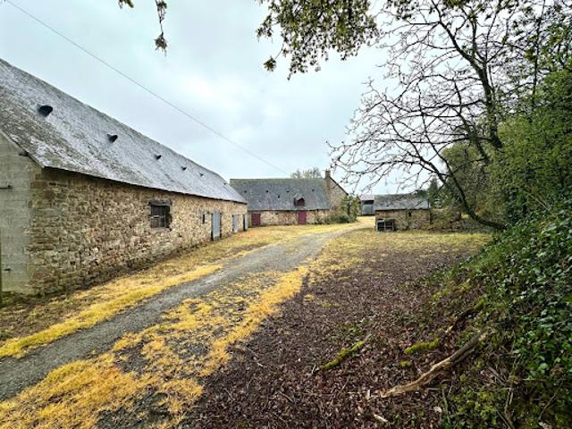 Vente Maison 8 pièces 350 m2 Saint Georges Buttavent