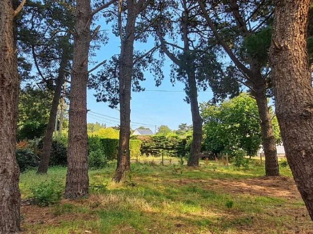 Vente maison 8 pièces La Baule Escoublac La Baule Les Pins 44