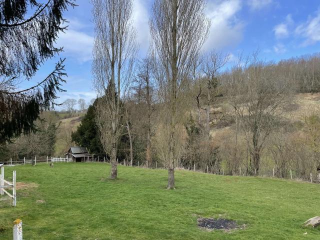Vente maison 8 pièces Saint Denis de Mailloc 14