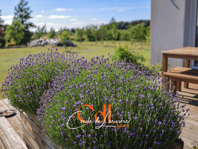 Vente maison 8 pièces Saint Vougay 29