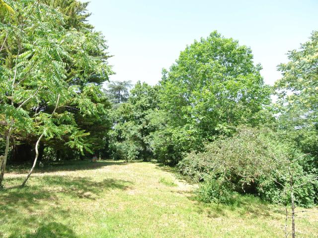 Vente maison 8 pièces Torfou 49