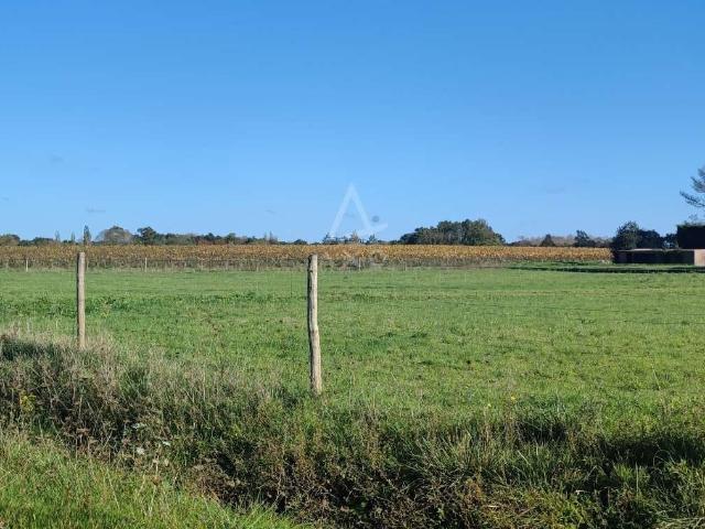 Vente maison 8 pièces Vallet 44