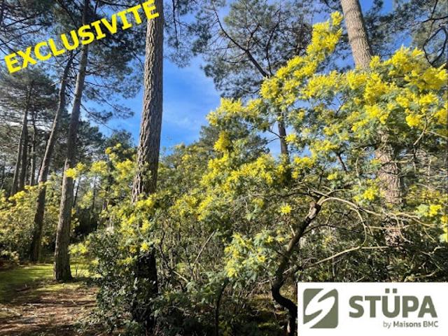 Vente Maison 90 m2 Lacanau