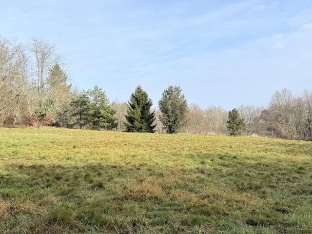 Vente Maison 9 pièces 177 m2 Campsegret