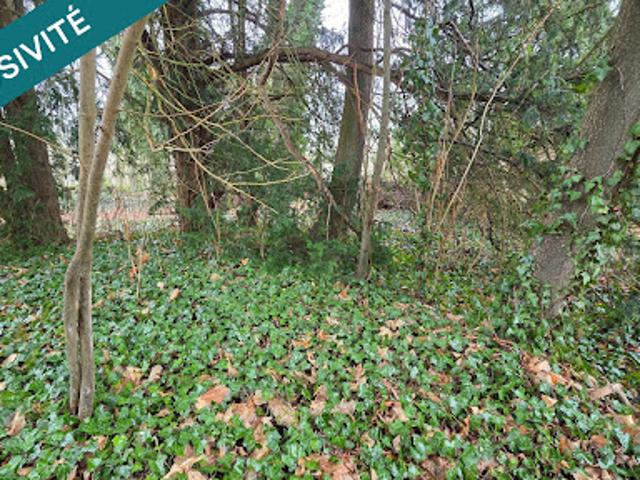 Vente Maison 9 pièces 170 m2 Coulommes la Montagne