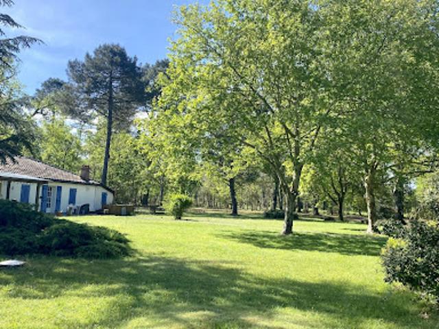 Vente Maison 9 pièces 170 m2 Luxey