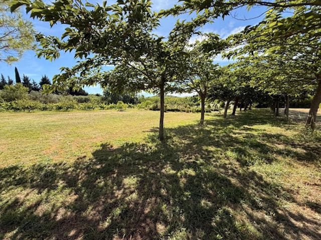 Vente Maison 9 pièces 220 m2 Villeneuve lès Maguelone