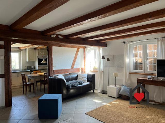 Vente Maison 9 pièces 234.48 m2 Kembs