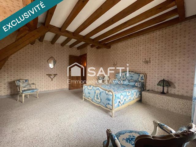 Vente Maison 9 pièces 235 m2 Denonville