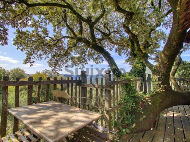 Vente Maison 9 pièces 235 m2 Ventalon en Cévennes