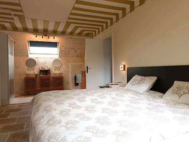 Vente Maison 9 pièces 230 m2 Chemery