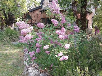 Vente Maison 9 pièces 230 m2 Saint pantaleon