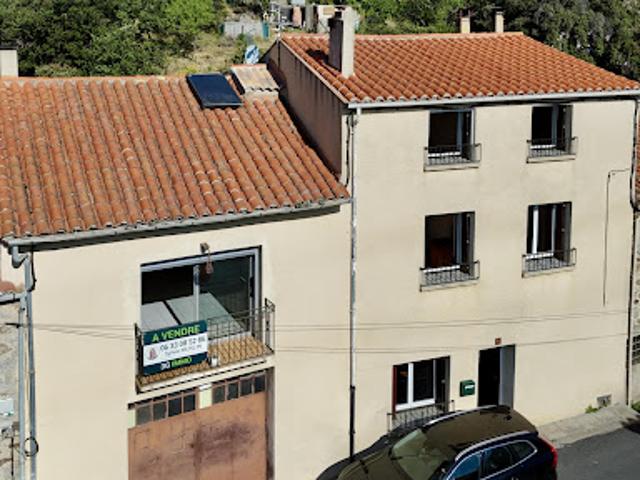 Vente Maison 9 pièces 231 m2 Belesta