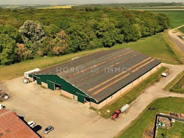 Vente Maison 9 pièces 240 m2 Chantilly