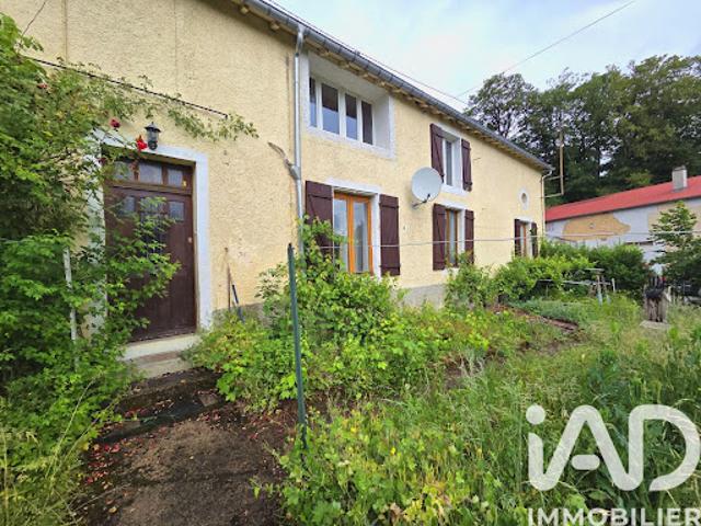 Vente Maison 9 pièces 251 m2 Saint Mihiel