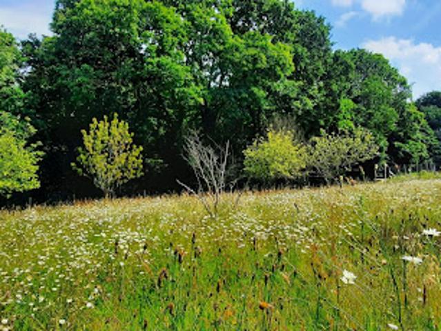 Vente Maison 9 pièces 252 m2 Bobital