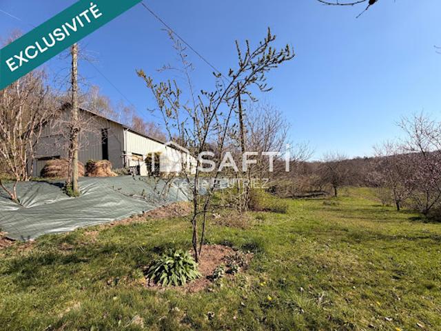 Vente Maison 9 pièces 253 m2 Espagnac