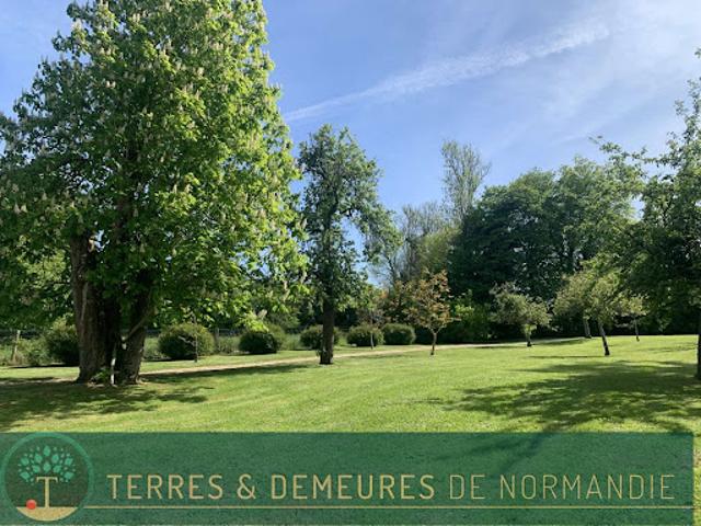 Vente Maison 9 pièces 265 m2 Meslay