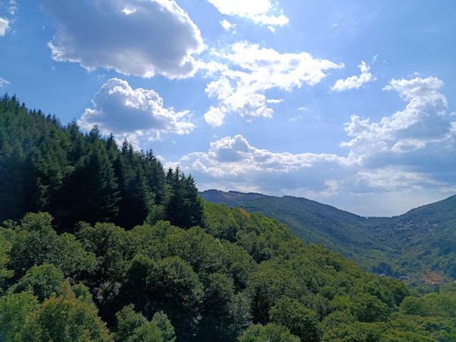 Vente Maison 9 pièces 266 m2 Aizac