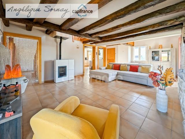 Vente Maison 9 pièces 270 m2 Francheville