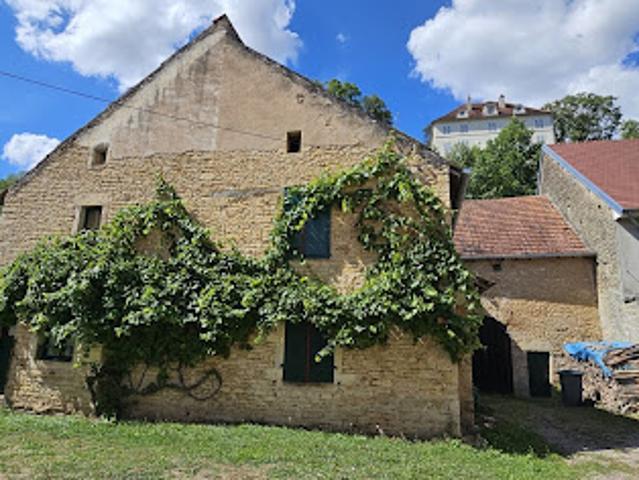 Vente Maison 9 pièces 271 m2 Delain