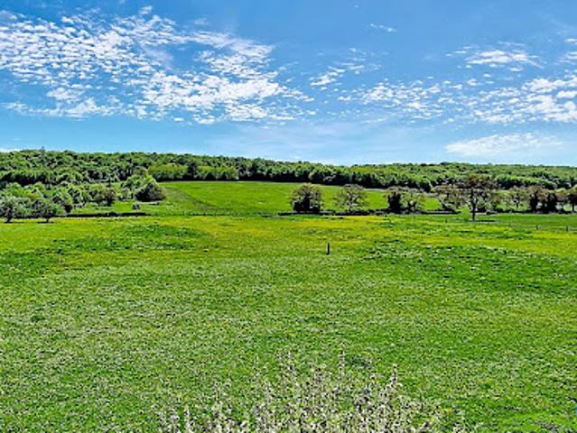 Vente Maison 9 pièces 281 m2 Laives