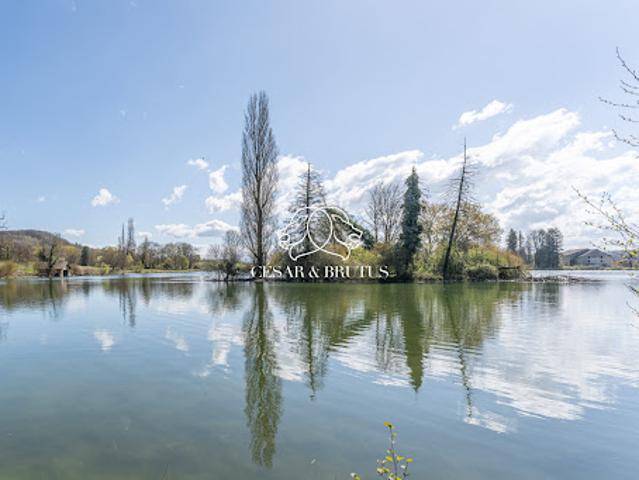 Vente Maison 9 pièces 300 m2 Trept