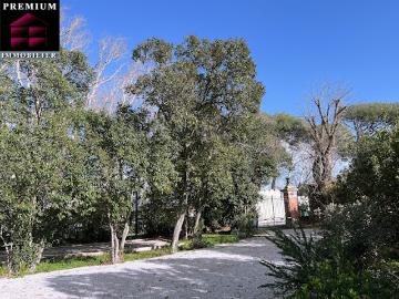 Méditerranée, La Languedocienne Montpellier, Maurin, Hérault, Languedoc-Roussillon