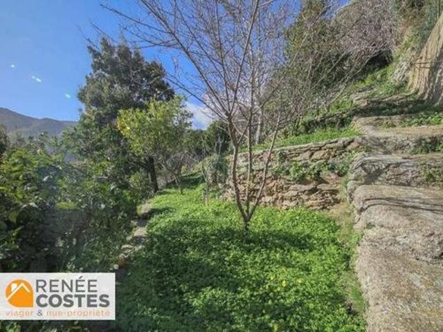 Vente Maison 9 pièces 324 m2 Ville di Pietrabugno