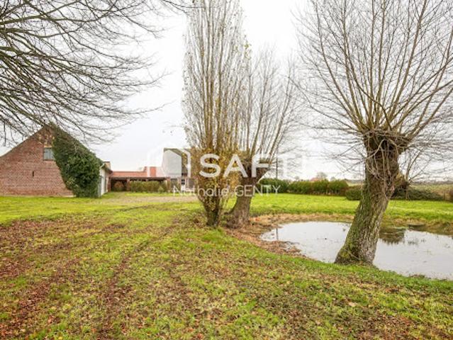 Vente Maison 9 pièces 328 m2 Steenvoorde
