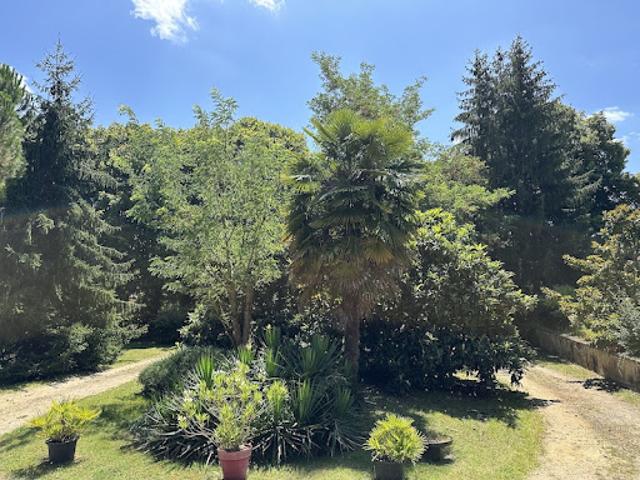 Vente Maison 9 pièces 380 m2 Montguyon