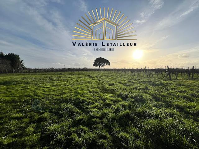 Vente Maison 9 pièces 420 m2 Saint Quentin de Baron