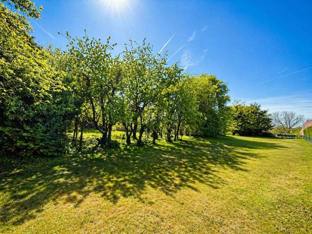 Vente maison 9 pièces Bellême 61
