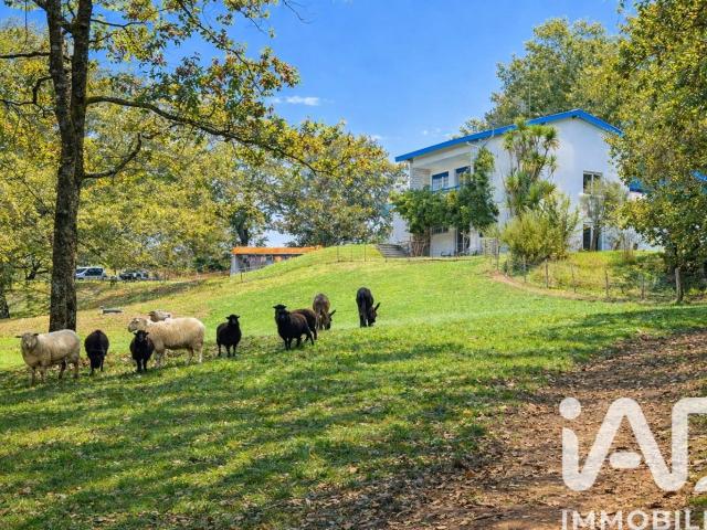 Vente Maison de campagne 11 pièces 290m² Urcuit